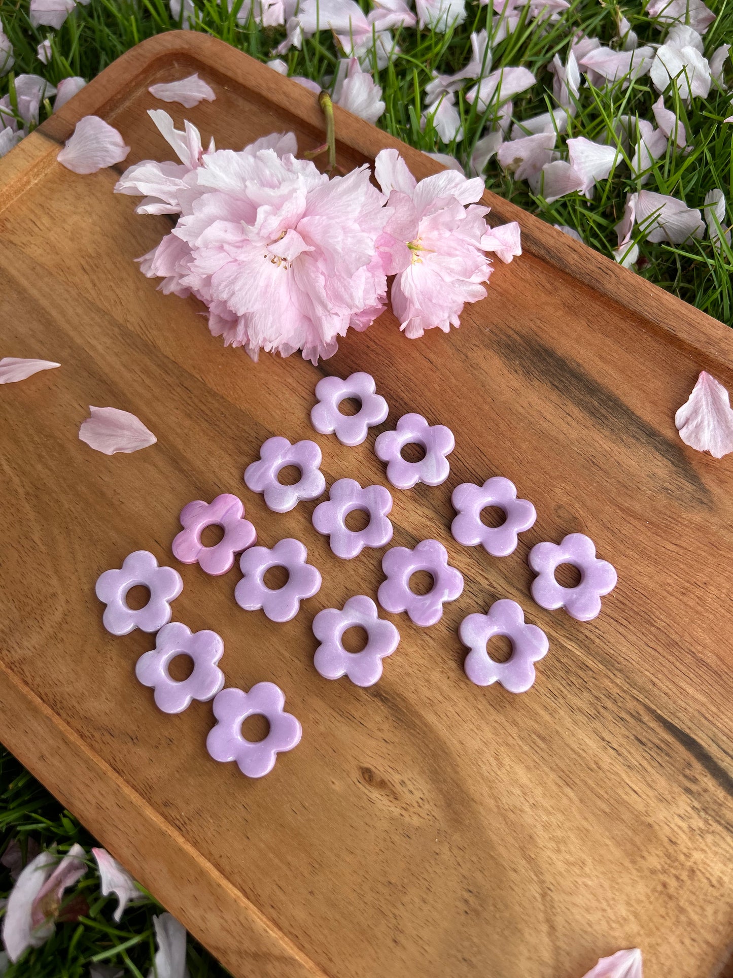 Fleurs lila